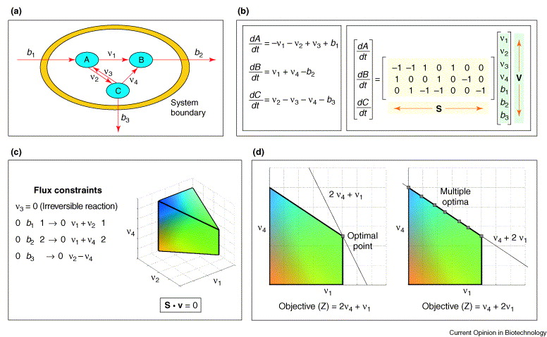 _images/fig3-2.jpg